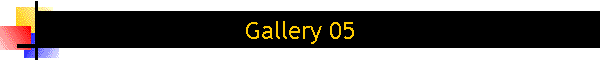 Gallery 05