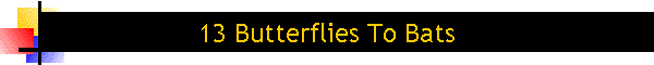 13 Butterflies To Bats