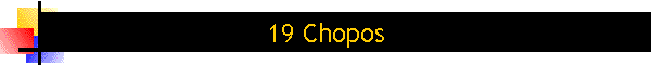 19 Chopos