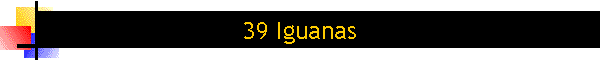 39 Iguanas