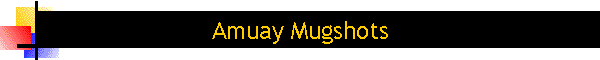 Amuay Mugshots