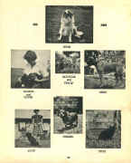 P26.jpg (91432 bytes)