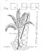 p00.jpg (152403 bytes)