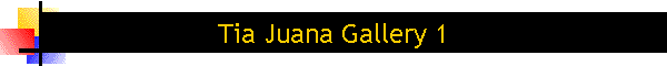 Tia Juana Gallery 1
